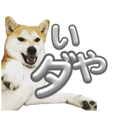 UME_san_20241222005354