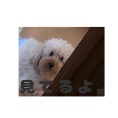 n_20241222005619