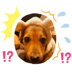 HIKARI_20241222101932