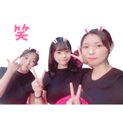 koara_20241222155058