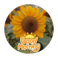 Good morning 2025 - LINE スタンプ | LINE STORE Good morning 2025 - LINE スタンプ | LINE STORE