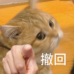 搞怪的猫咪 8 ^o^