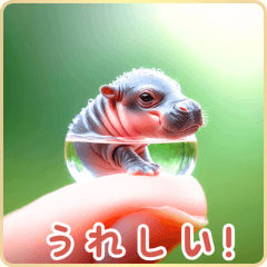 Tiny Pygmy Hippo Wonders 2:Japanse