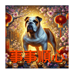 鬥牛犬迎新春