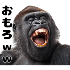 Laughing Gorilla