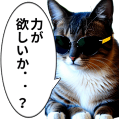 Sunglasses cat,