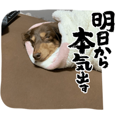 Natsuki_20241222212810