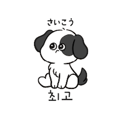 hangul dogs