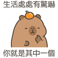 capy. capybara28