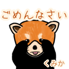 Kumika's lesser panda