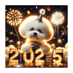 2025Happy New Year 5