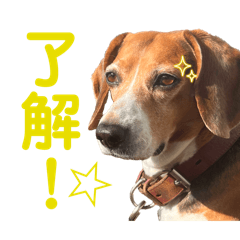 Natsuki_20241222200929