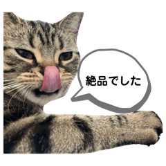 tanaka_20241222214020