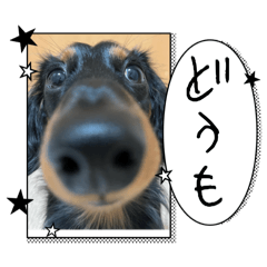 yoshi_20241222214727