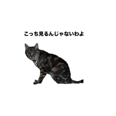 NATSUKI_20241223092054