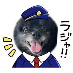 AKIRA_20241223065714