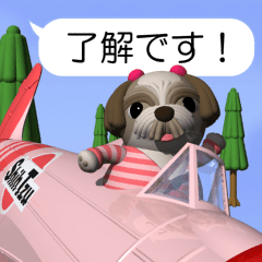 Pilot Shih-Tzu 2 (pop-up)