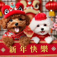 紅貴賓犬 祝您新年快樂