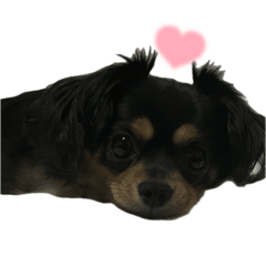 Chihiro_202412231425044