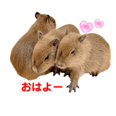 @ Capybara_Tengoku_20241219113025