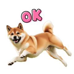 Shibainu runs non stoppable