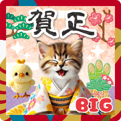 癒しにゃんこのBIGなあけおめ年賀状