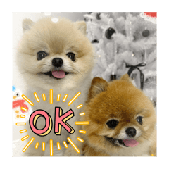 Rubybaby pompom