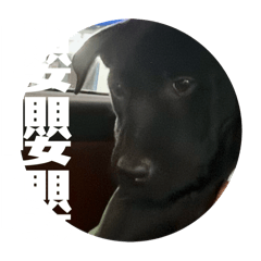 049小子