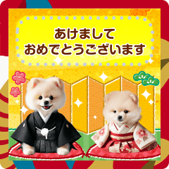 New Year's card of Pomeranian [message]