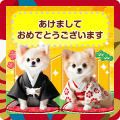 New Year's card of chihuahua [message]