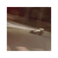 ren_20241223163012