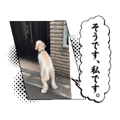 Nakaba_20241223223804