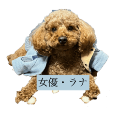 T.R from T.K