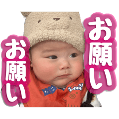 ponzu_20241223151250