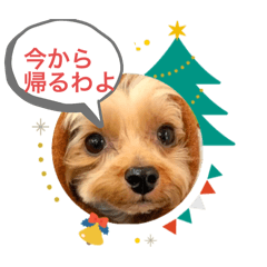 Asuka_20241223153400