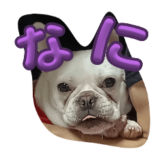 yuki_20241223192602