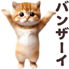 Cute Dance Cat