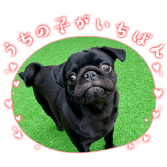 dashi_20241223194251