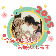 kikuwahana_20241223221222