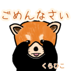 Kurahiko's lesser panda