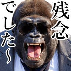 Gorilla with sanglasses[KANSAI]