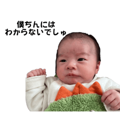 Koto_20241223230113