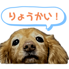 Kanako_20241223225845