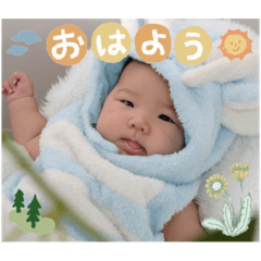 Shogo_20241223232806