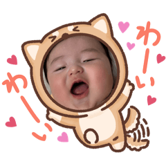 chihaya_403607