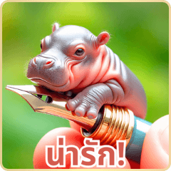 Tiny Pygmy Hippo Wonders 3:Thai