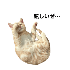 CHIHIRO_20241223160502