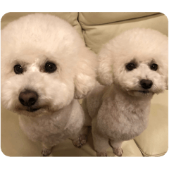 yyyui_20241223161224