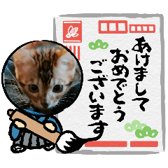 akiko_20241223162502