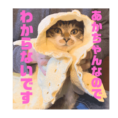NATSUKI_20241223214818